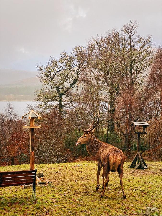 Tarmachan Cottage - West Highland Getaway Fort William Exteriér fotografie